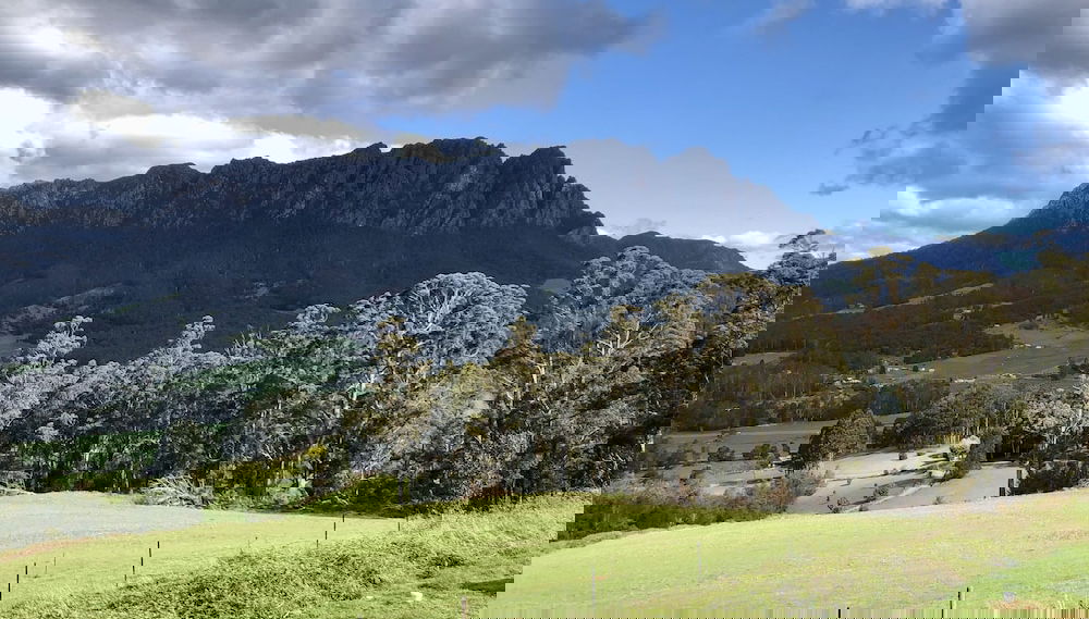 Primary image