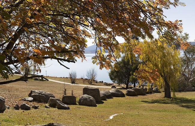 Grey Kangaroo- On Lake Jindabyne foreshore - Foto 19