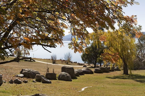 Photo 19 - Grey Kangaroo- On Lake Jindabyne foreshore