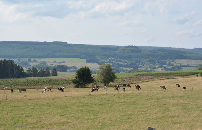 Child Friendly Holiday Home in Bouillon near River - Foto 32