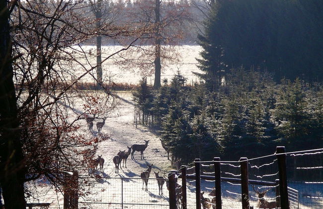 Mansion in Beauplateau Near Forest - Foto 34