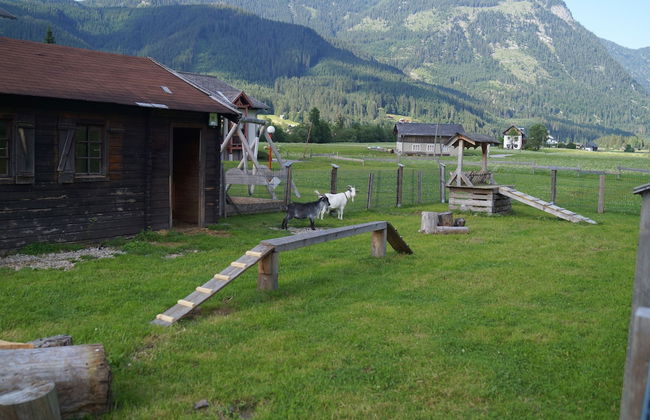 Apartment Hallstatt Dachstein Inn - Foto 51