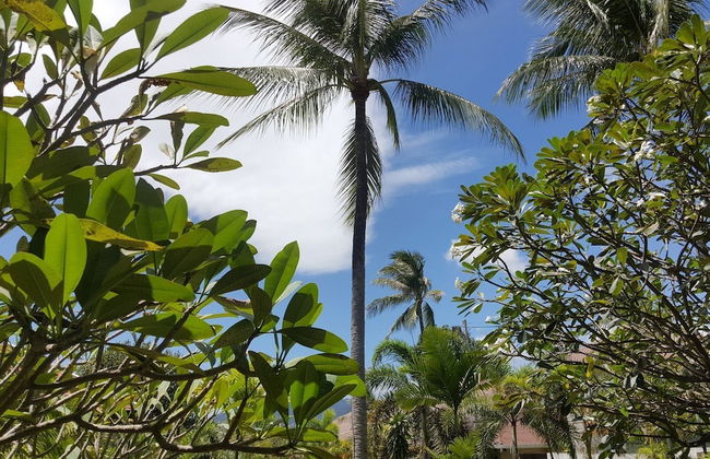Maenam Hills Samui - Foto 27