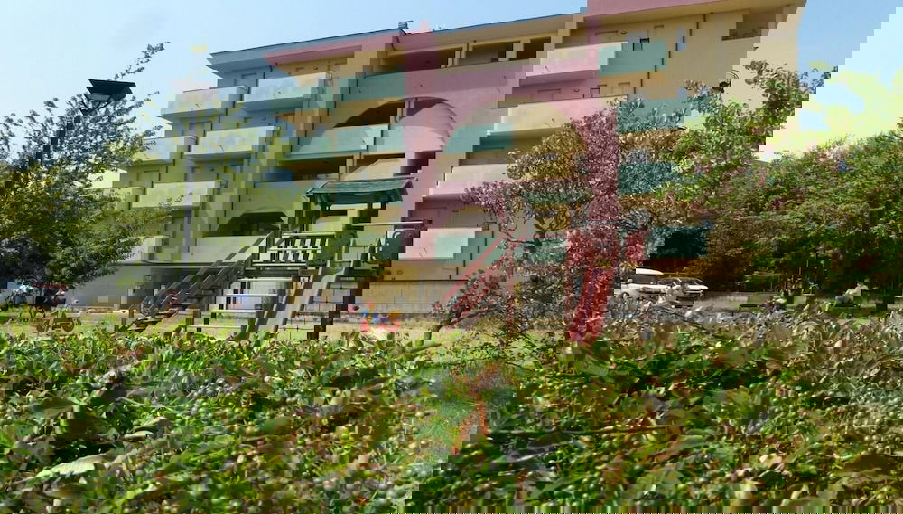 Imagem principal
