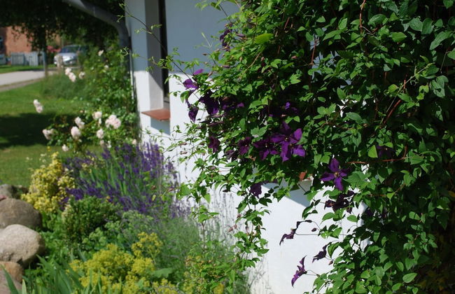 Spacious Retreat in Dargun - Foto 15