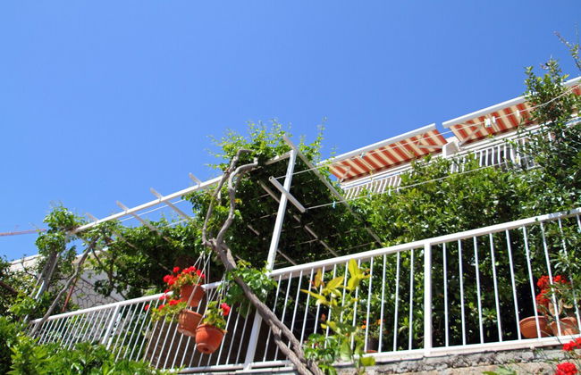 Ante - Foto 14