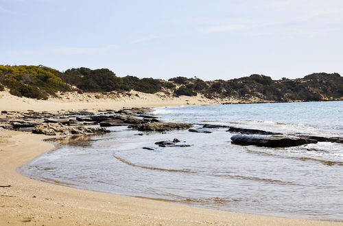 Photo 37 - Nerida Beachfront Villas