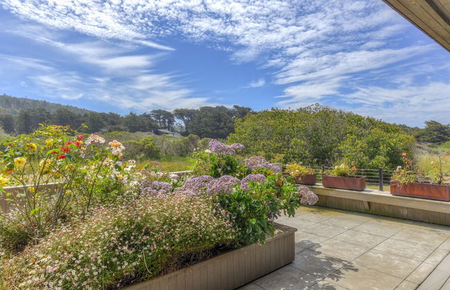 Ocean Retreat - Photo 45
