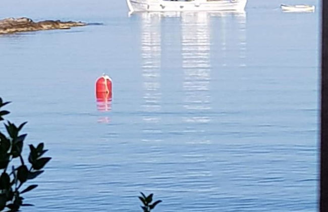 Remarkable 3double-bed House in Daskalio - Foto 24