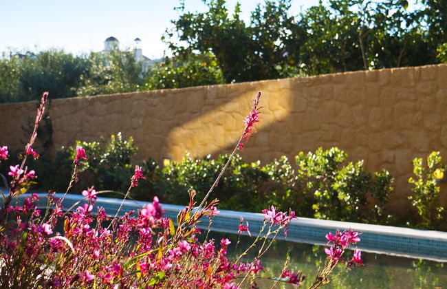 Conte Marino Villas - Foto 61