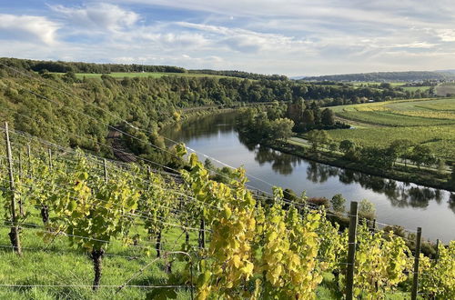 Photo 18 - Holiday Apartment Near the Moselle With Terrace