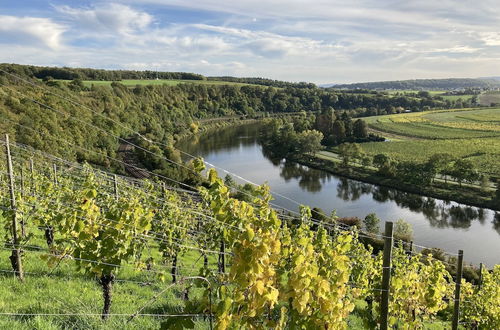 Photo 22 - Holiday Apartment Near the Moselle With Terrace