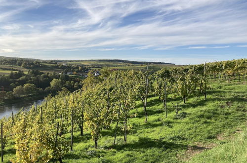 Photo 20 - Holiday Apartment Near the Moselle With Terrace