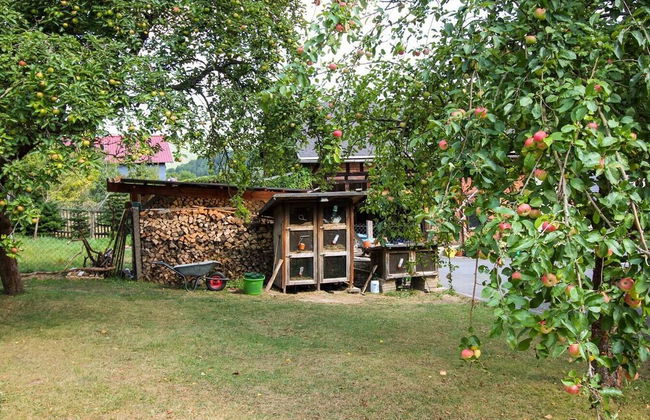 Haus Sonnenwalde - Familie Ruhe - Foto 14