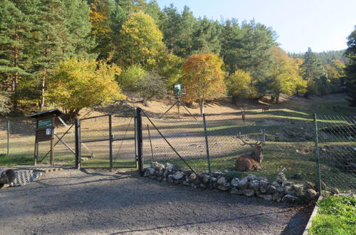 Photo 11 - Haus Sonnenwalde - Familie Ruhe