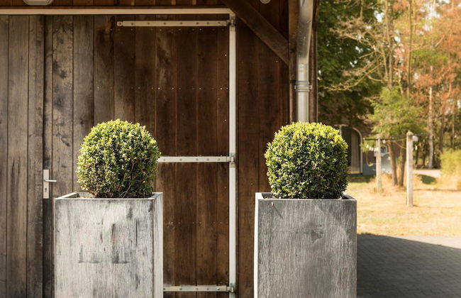 Serene Holiday Home in Haaksbergen With Hottub - Foto 21