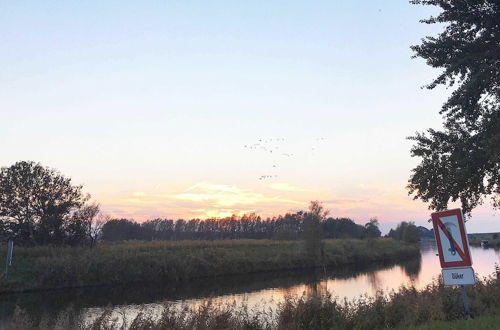 Photo 23 - Holiday Home in Otterndorf