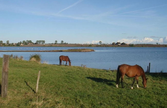 Insel- Bungalow auf Poel - Foto 20