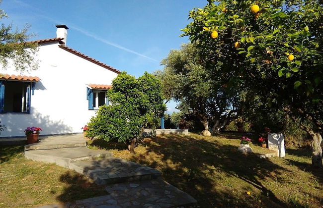 La Maison Bleu - Foto 1