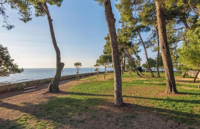 Holiday House in Novigrad With Pool - Foto 29