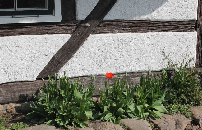 Ferienwohnung in Reddelich for 4 Personen - Foto 12
