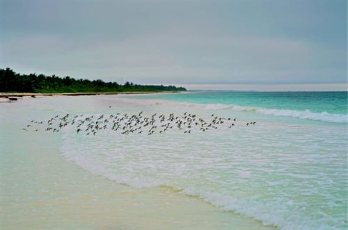 Photo 4 - Private oceanfront house - lagoon access