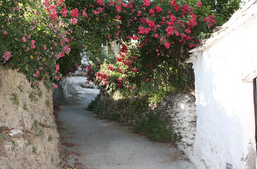 Foto 43 - La Oveja Verde de La Alpujarra Apartamentos