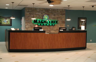 Photo 2 - The Suites at Magic Tree