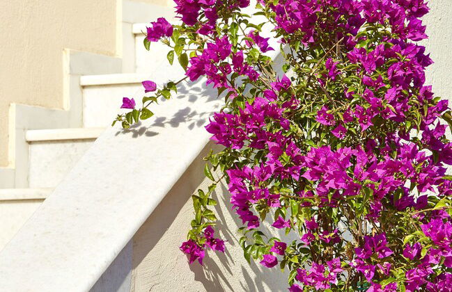 Le Blanc Suite - Foto 59