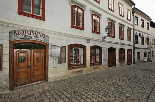 Foto 44 - Downtown Apartments Český Krumlov