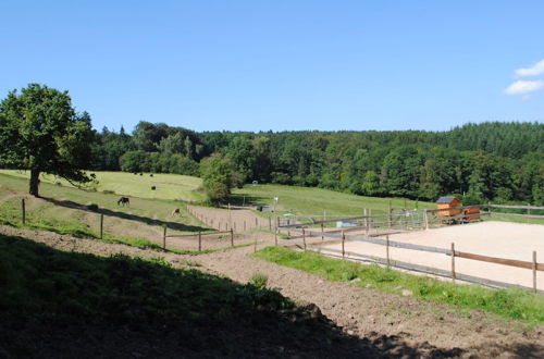 Foto 11 - Holiday House in Horse Riding School near Stavelot & Spa Circuit