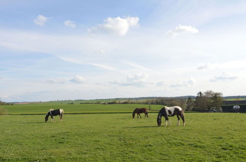 Photo 22 - Holiday House in Horse Riding School near Stavelot & Spa Circuit