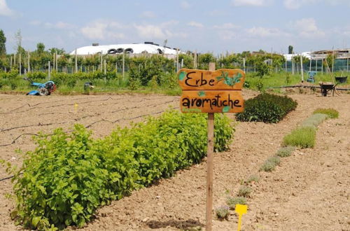 Photo 24 - Cascina Bosco Gerolo