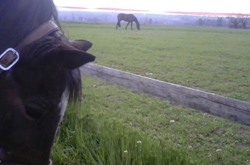 Photo 22 - Cascina Bosco Gerolo