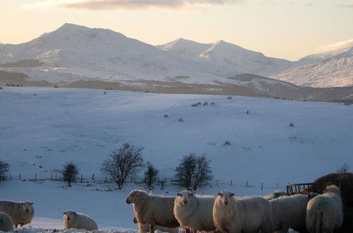 Photo 14 - Siabod Huts