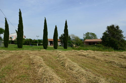 Photo 25 - Agriturismo Ferri di Ferri Donatella