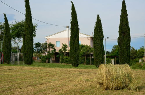 Photo 26 - Agriturismo Ferri di Ferri Donatella