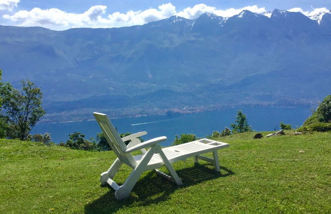 Villa delle Querce - Photo 57