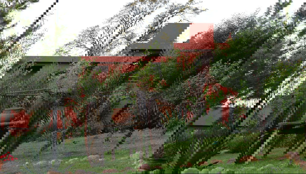Imagem principal