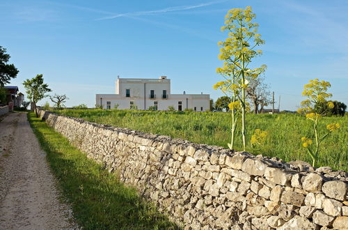 Photo 32 - Masseria Ciavea