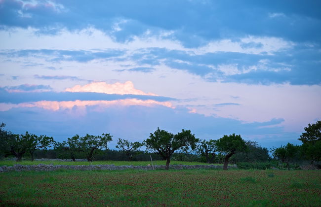 Masseria Ciavea - Foto 52