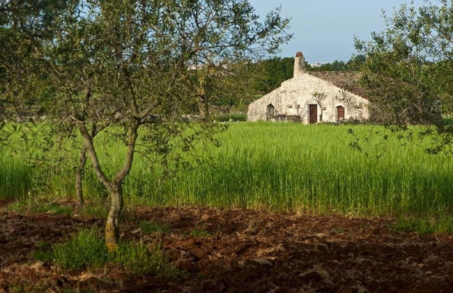 Masseria Ciavea - Foto 36