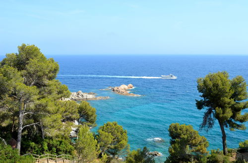 Photo 14 - Studios Face À La Mer - Cala Llevado