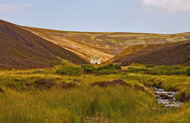 Stunning 3-bed Cottage in the Village of Tomintoul - Photo 14