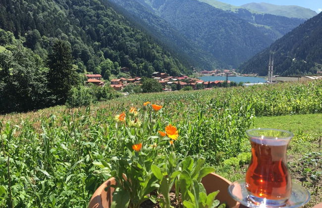 Zeren Pansiyon - Foto 51