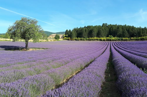 Photo 22 - VVF Drôme Provence, Montbrun les bains