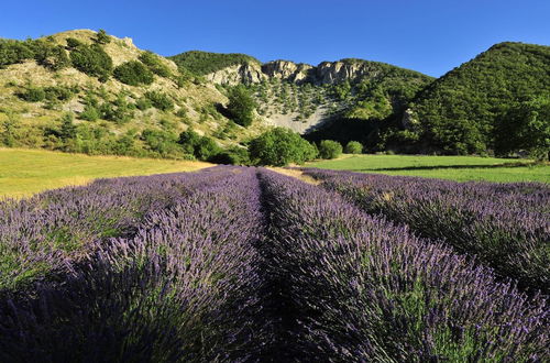 Photo 31 - VVF Drôme Provence, Montbrun les bains