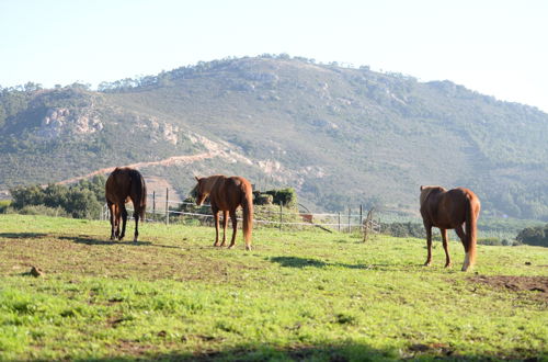 Foto 30 - Quinta da Samoqueirinha