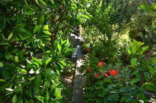 Foto 33 - Frane - With Garden - A2