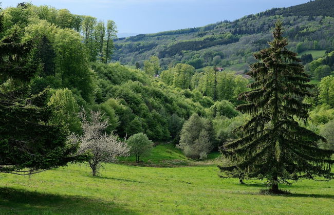 VVF Les Fontaines des Vosges, Saales - Foto 34